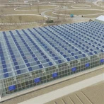 Agricultură Sere solare fotovoltaice