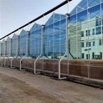 Sere din sticlă cu mai multe deschideri pentru legume